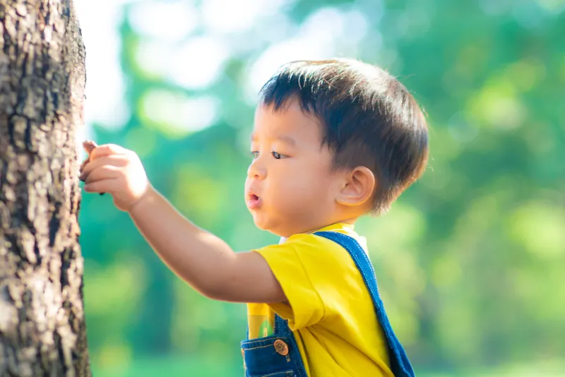 Memiliki kecerdasan naturalis membuat si Kecil suka berinteraksi dengan alam sekitarnya.