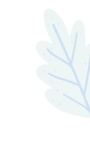 doddle-leaf
