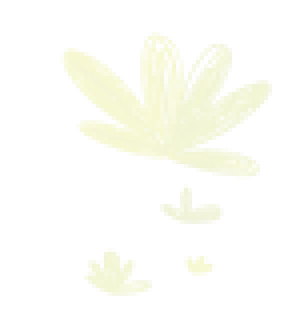 doddle-leaf2